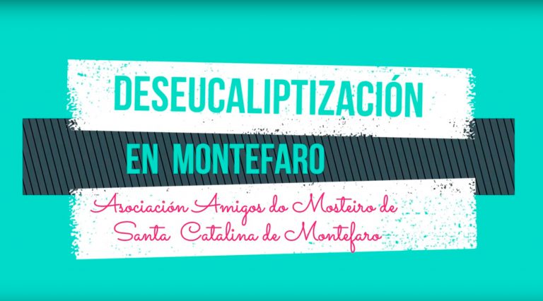 XORNADA DESEUCALIPTIZADORA EN MONTEFARO